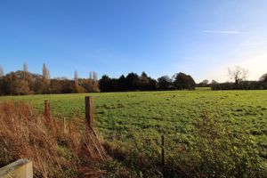Neighbouring Field- click for photo gallery